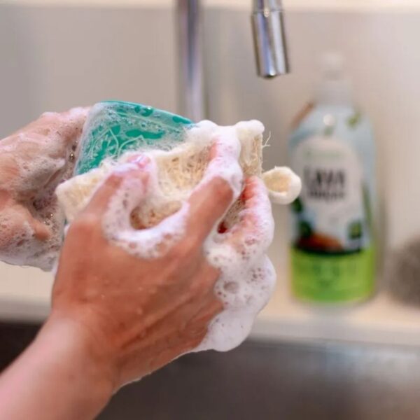 Bucha Vegetal | Positiv.A