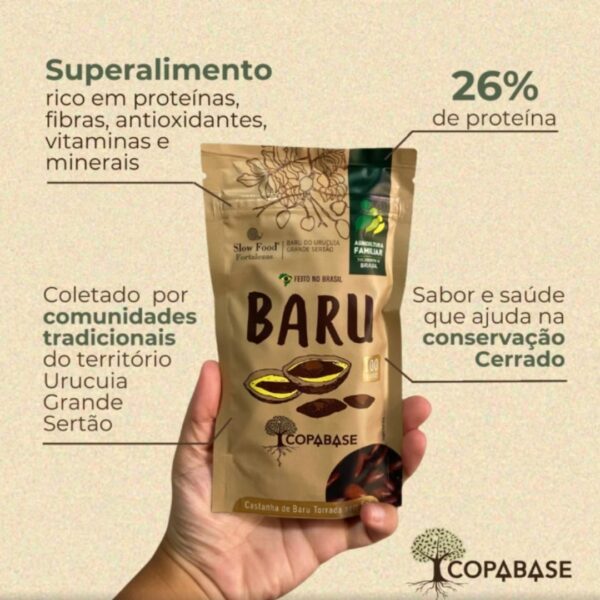 Castanha de Baru Torrada Sem Sal 100g | Central do Cerrado