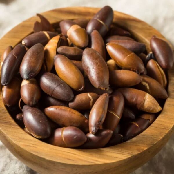 Castanha de Baru Torrada Sem Sal 100g | Central do Cerrado