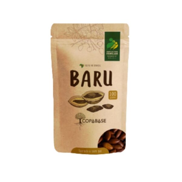 Castanha de Baru Torrada Sem Sal 100g | Central do Cerrado
