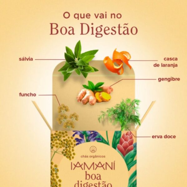 Chá Orgânico Sachê | Iamaní | Boa Digestão/leveza!